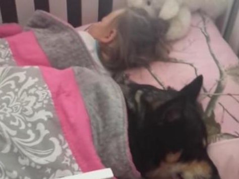 Frau sieht nach Kleinkind und beginnt zu filmen, als sie merkt, dass geretteter Hund neben ihr schläft